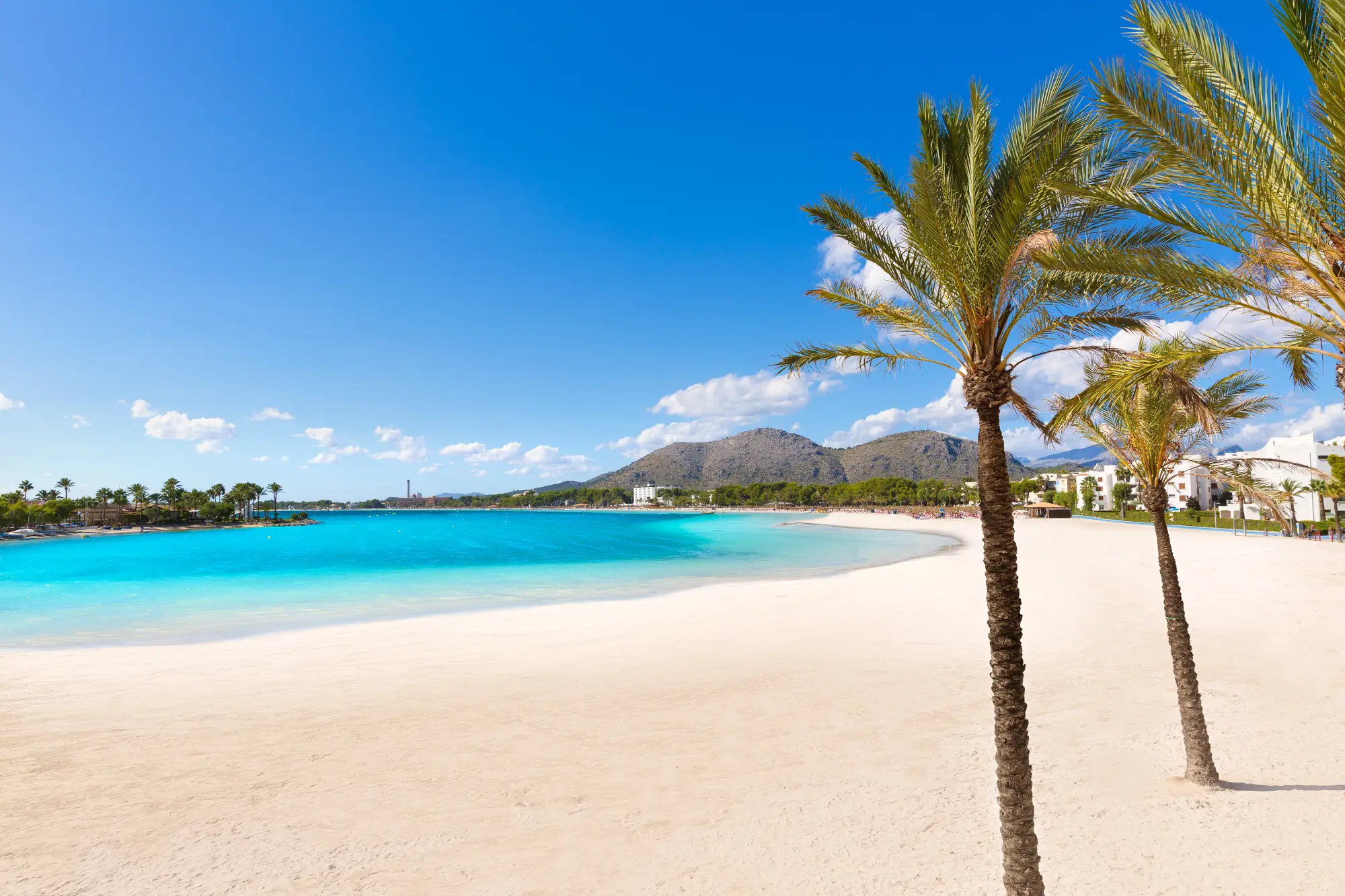 Playa de Alcúdia – Mallorca