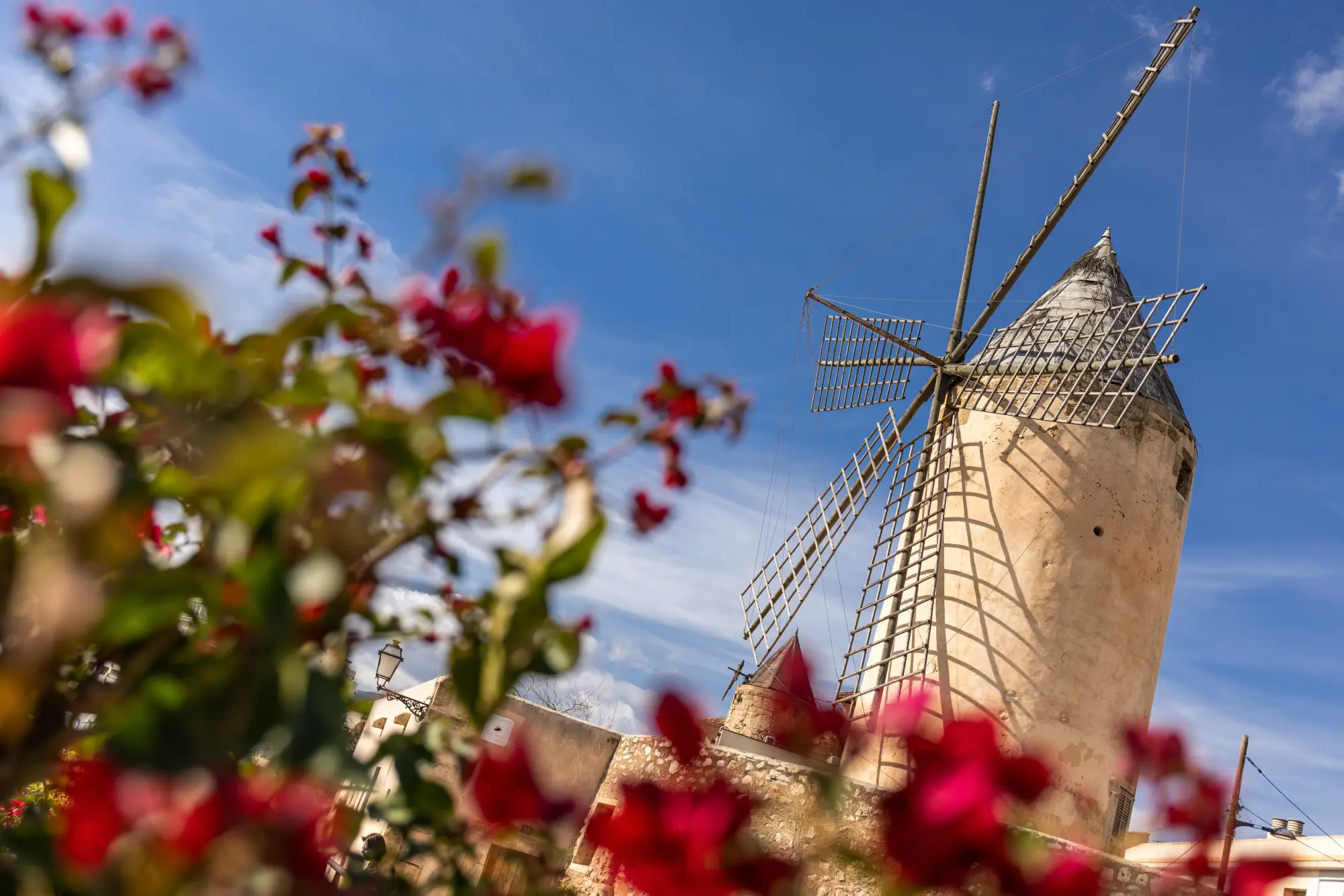 Santa Catalina (Palma) – Mallorca