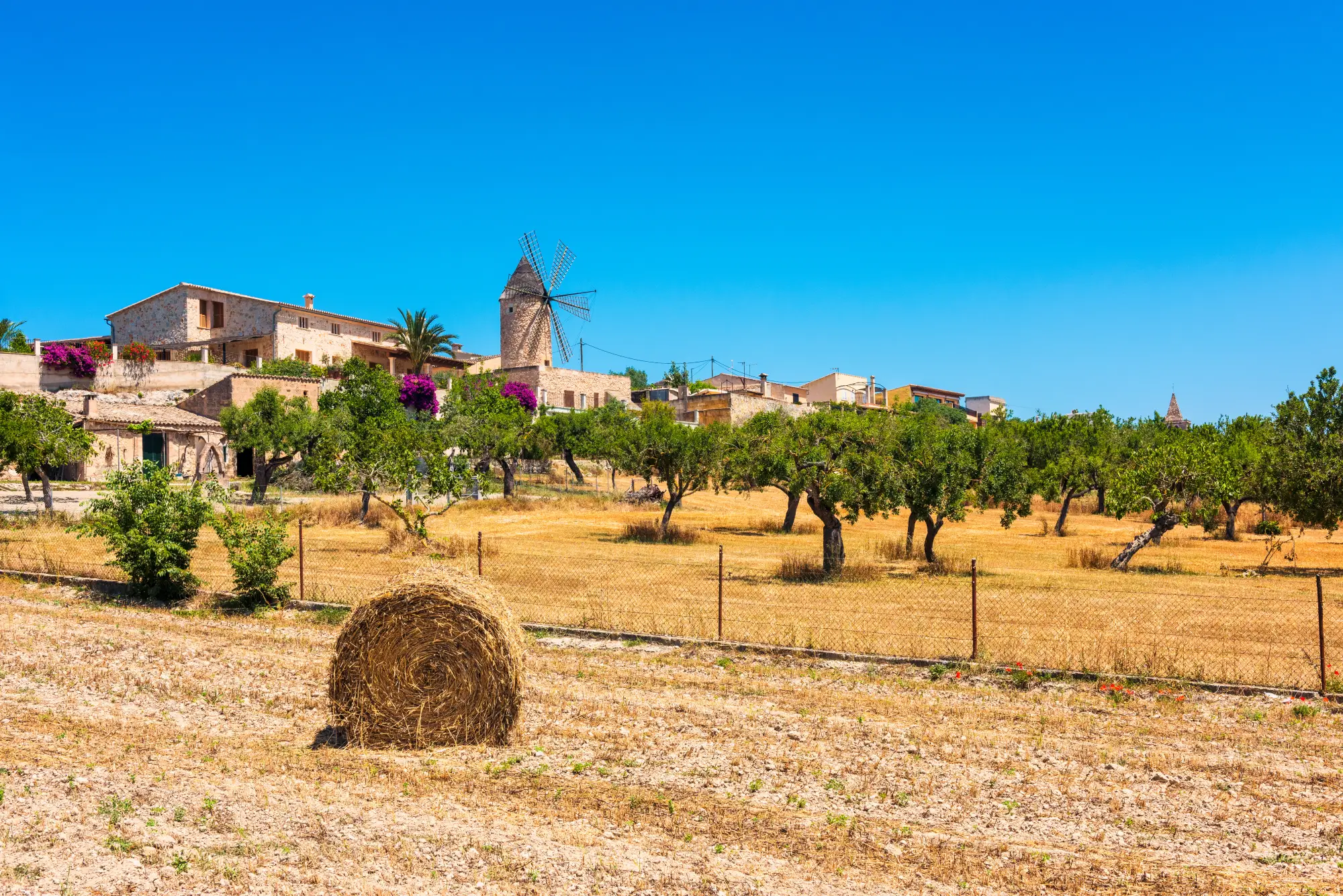 Sineu – Mallorca